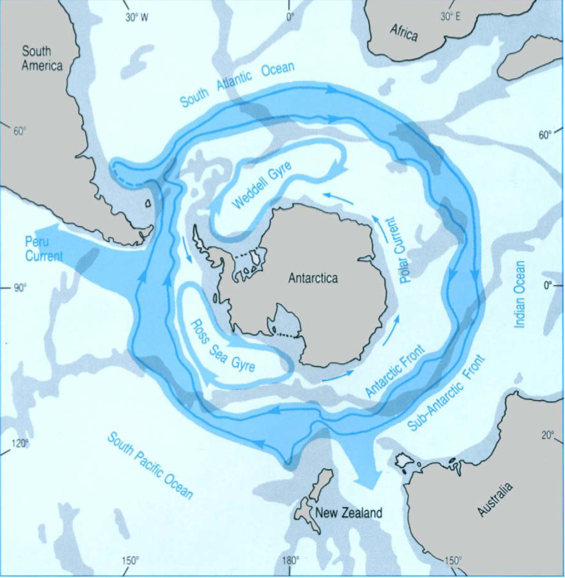 southern_ocean_circulation.png