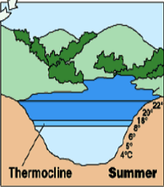summer_stratification_in_lakes.png