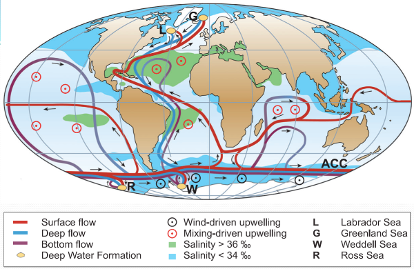 The great outlet ocean conveyor