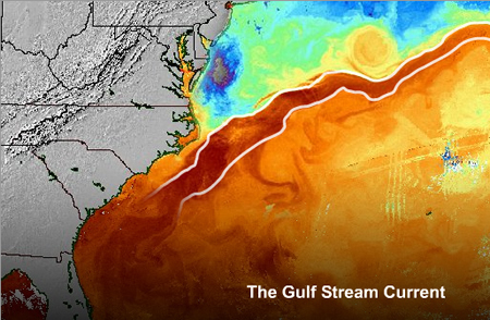 Figure 2: Gulf Stream