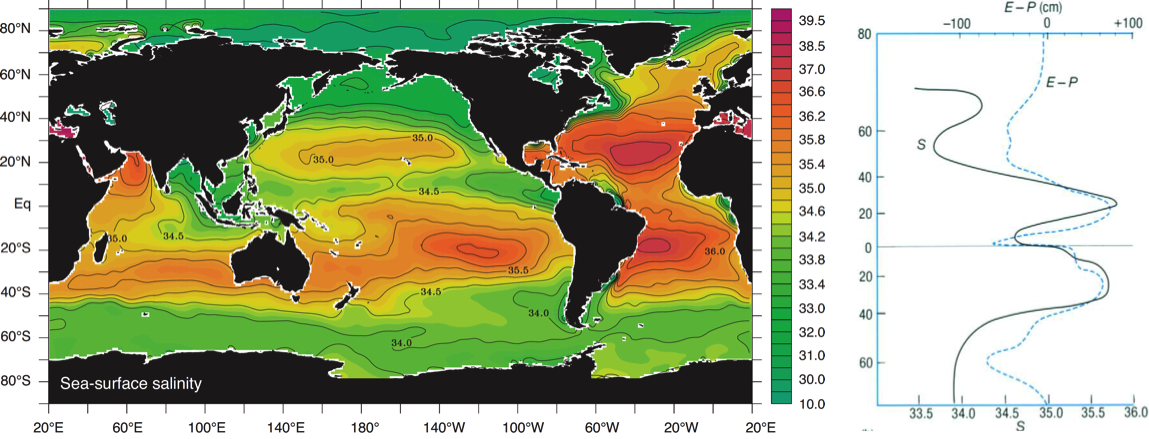 Figure 1 - On the left side the global sea-surface salinity with high values in the tropics and subtropics as well as in the Atlantic Ocean,
Mediterranean and Dead Sea. On the right side the balance between evaporation and precipitation over different latitudes. If positive:
Freshwater gets lost to atmosphere. If negative: A lot of rain and therefore less evaporation (Sarmiento, 2013).