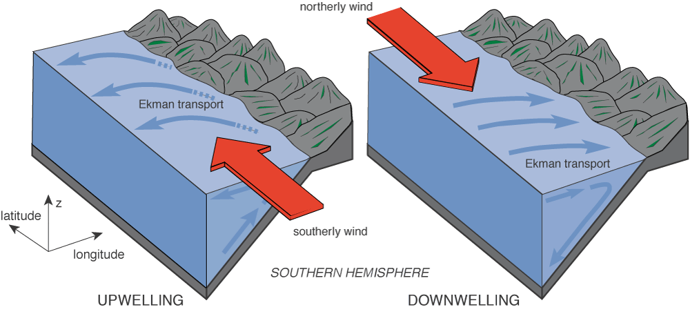 Upwelling and downwelling due to Ekman transport